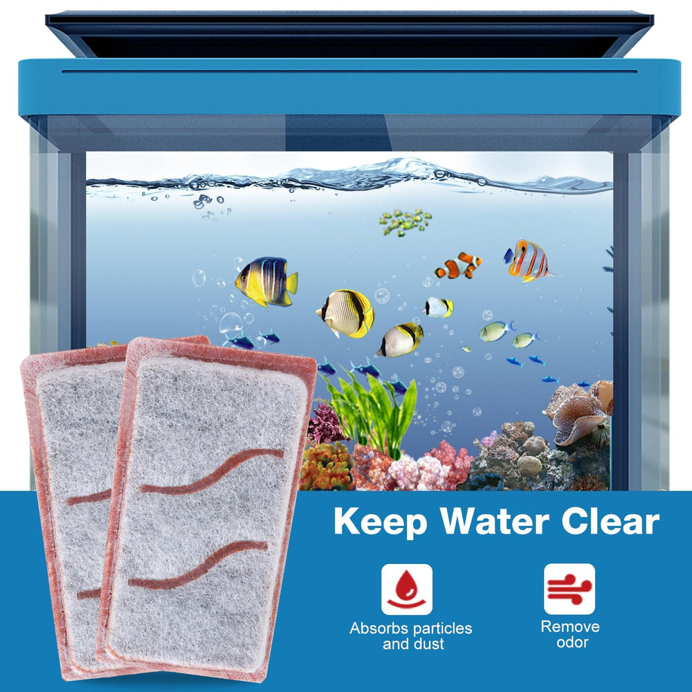 Zuqqony crystal clear water with deodorization via carbon grid