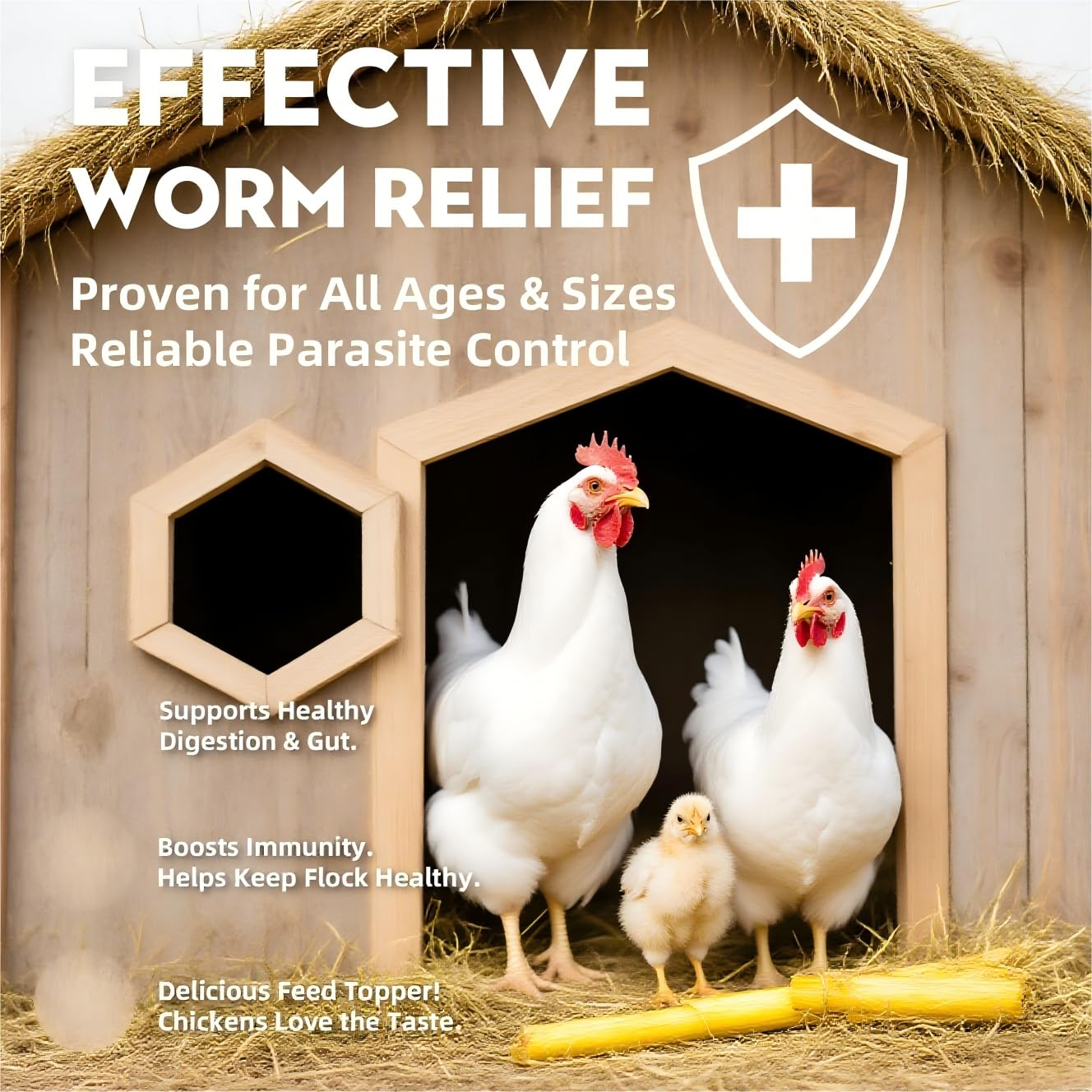 ZURPRISE natural poultry dewormer improves flock comfort in backyard settings.