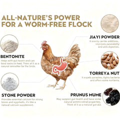 ZURPRISE egg-safe dewormer powder preserves eggs while supporting digestion.