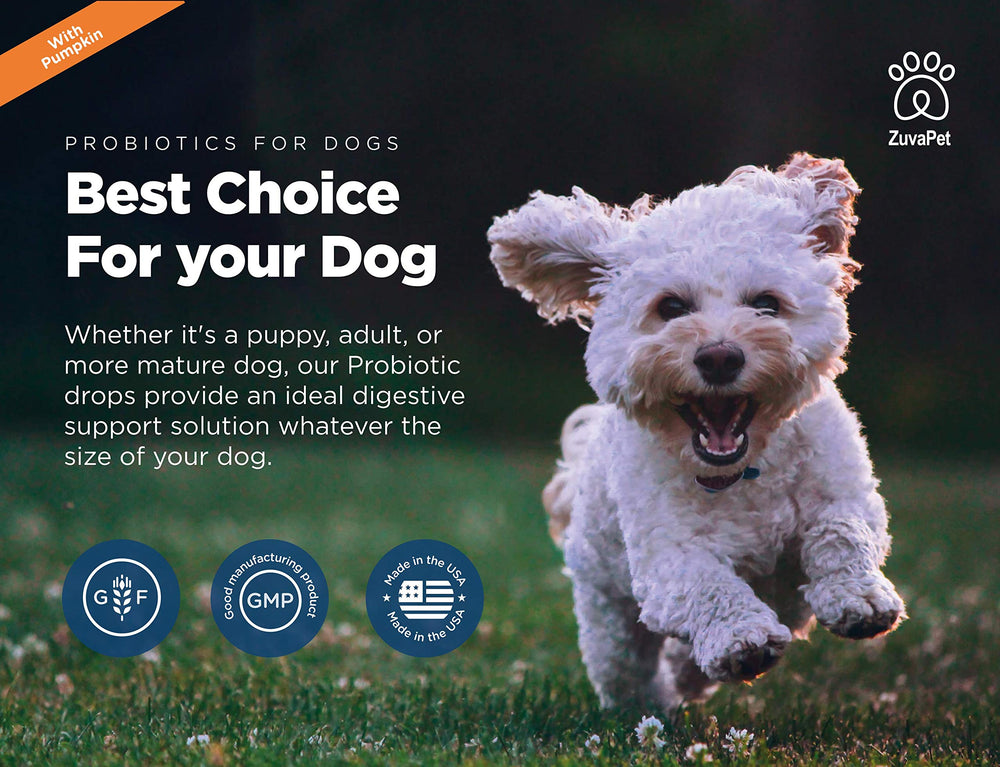 ZuvaPet Probiotics 120 servings icon emphasizes long-term probiotic supply.
