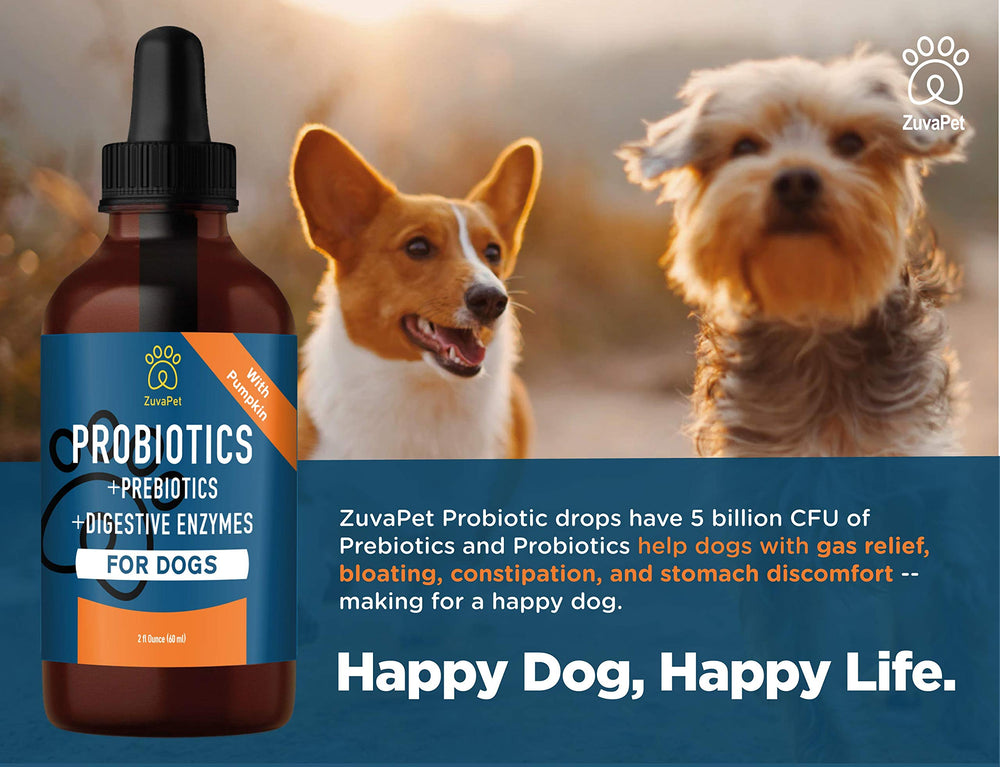 ZuvaPet Probiotics drops beside dog food for convenient daily gut wellness.