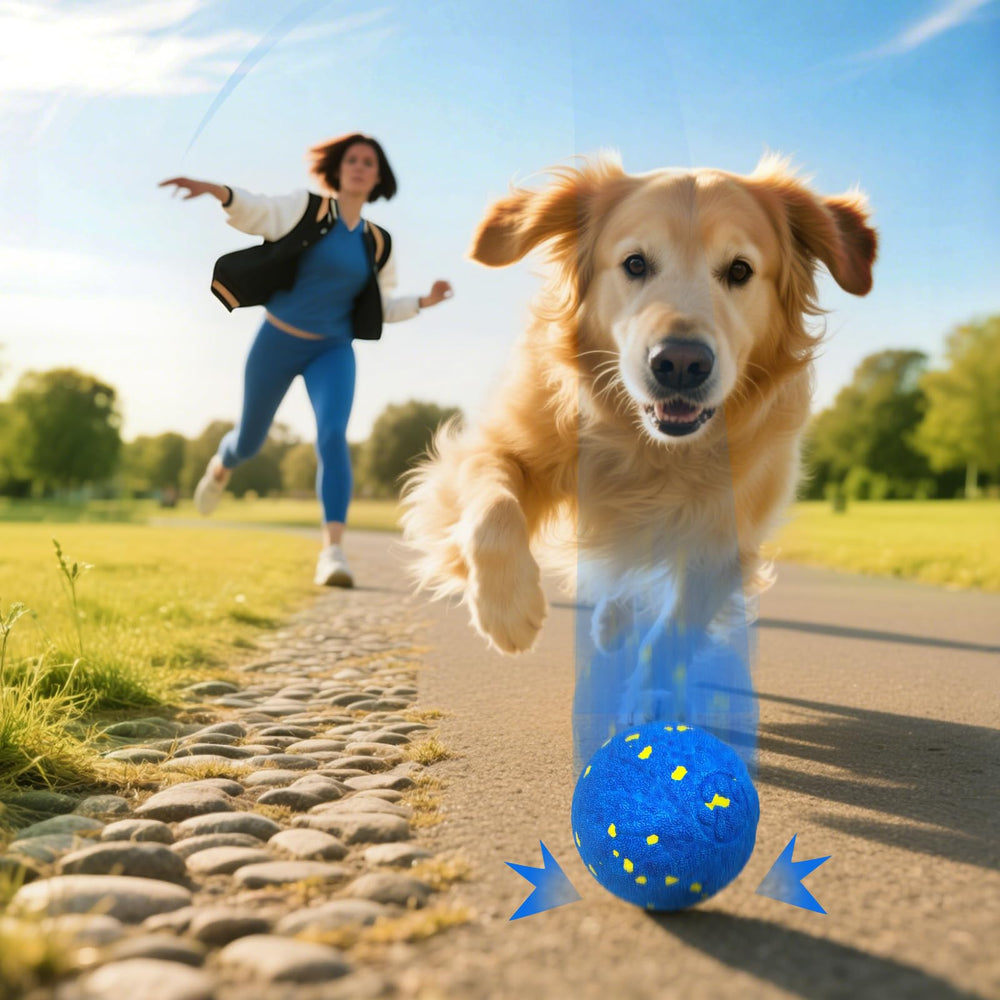 Zuykjeagle anxiety-relief play may ease restlessness during alone time