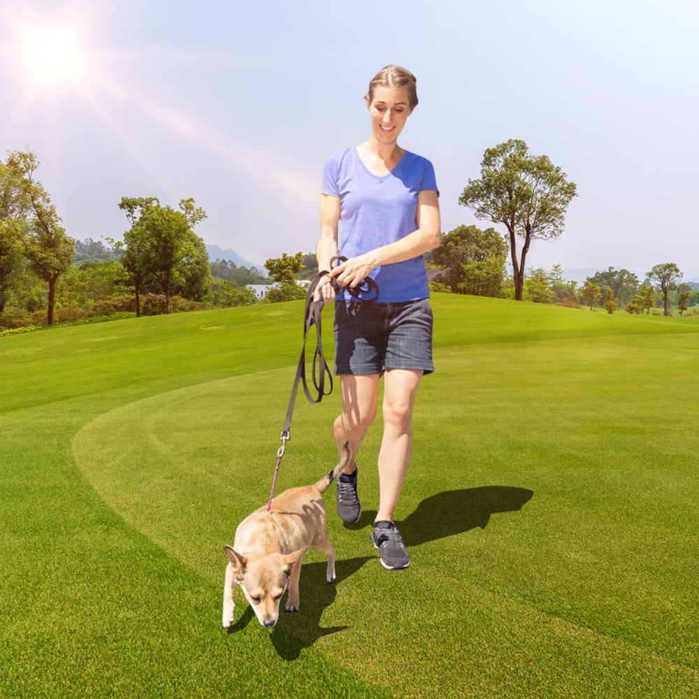 ZUZUAN 30ft obedience leash backyard-use example demonstrates tethered safety while you work