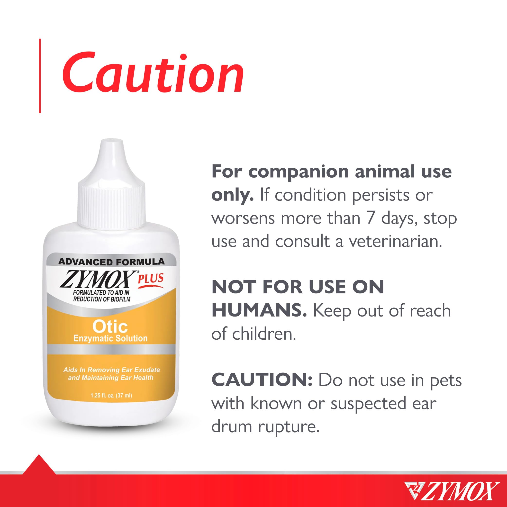 Cat ear close-up with Zymox Otic Plus application