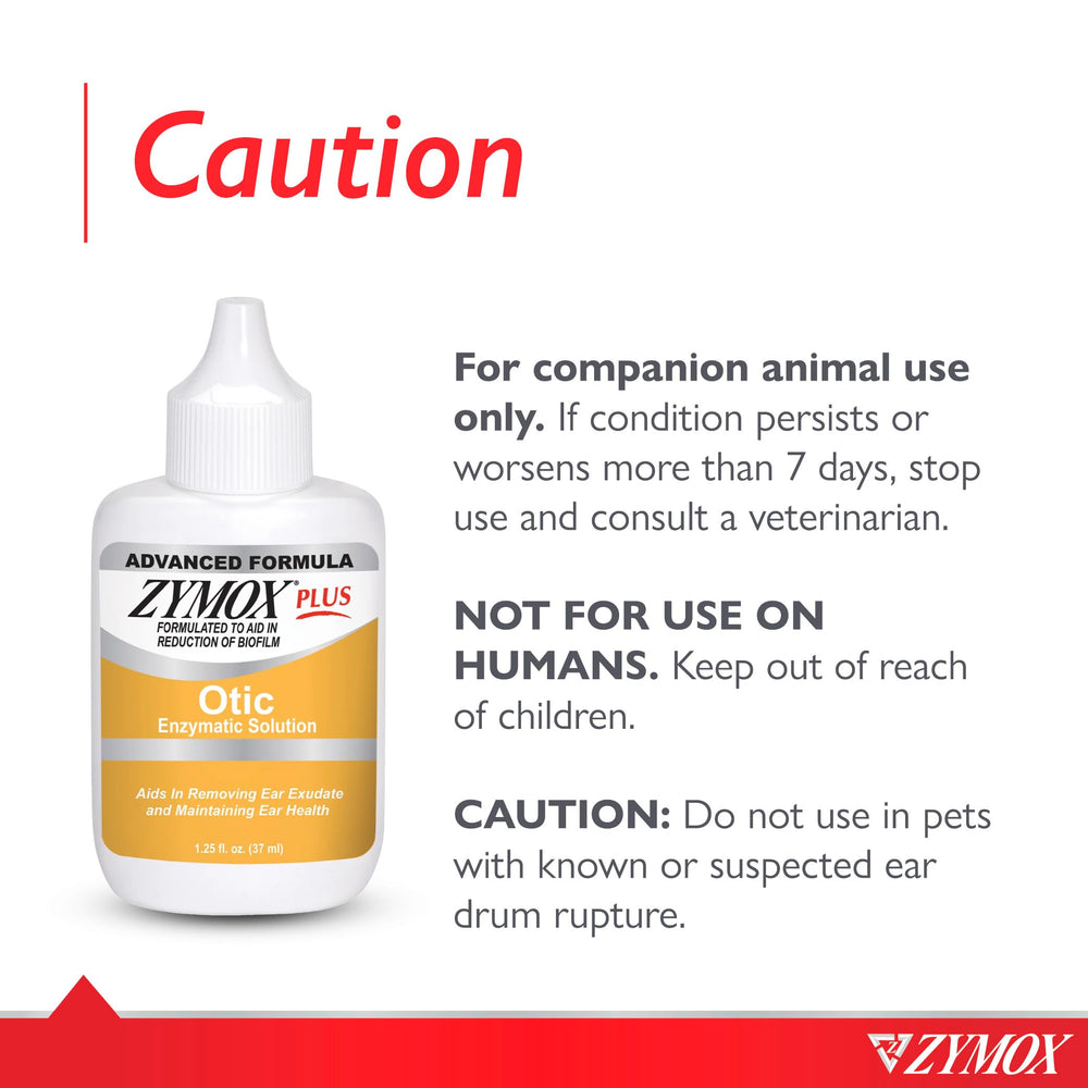 Cat ear close-up with Zymox Otic Plus application