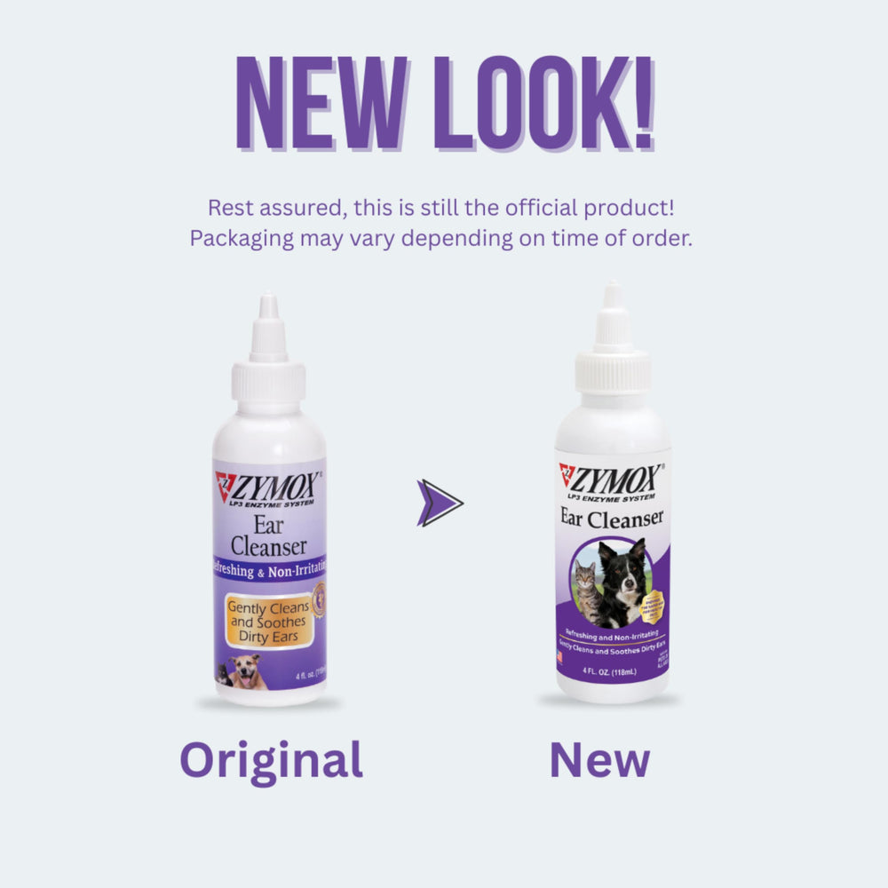 Zymox ear cleanser applying in ears for quick, safe grooming