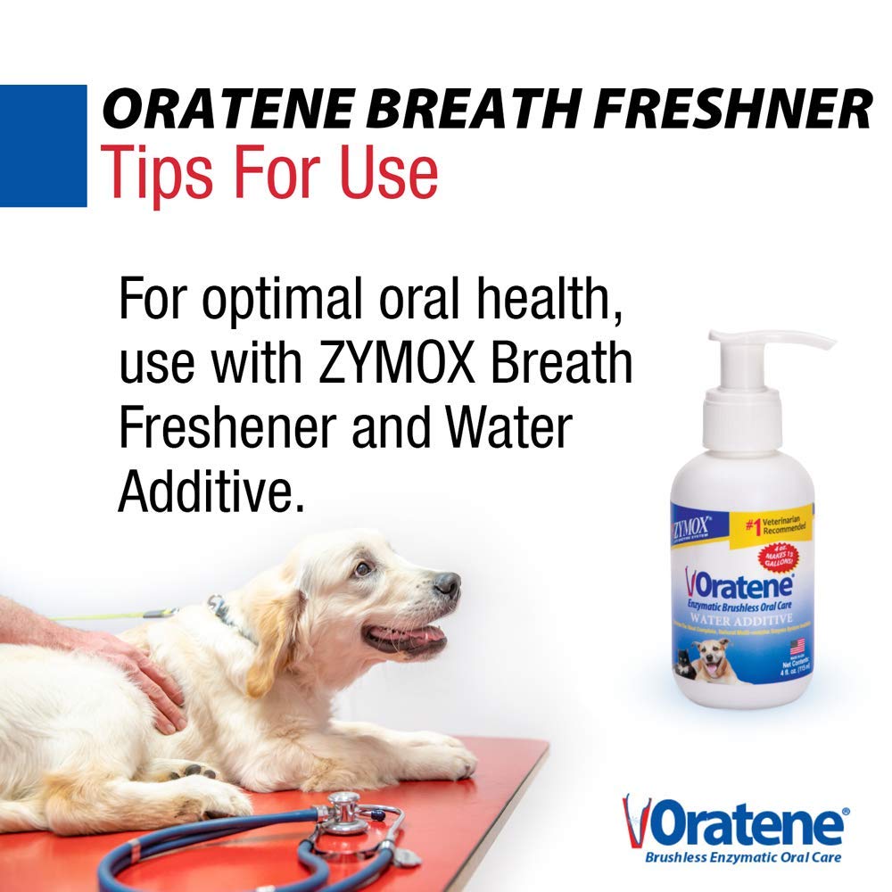 Zymox Oratene pet owner using spray on dogs teeth closeup for easy application