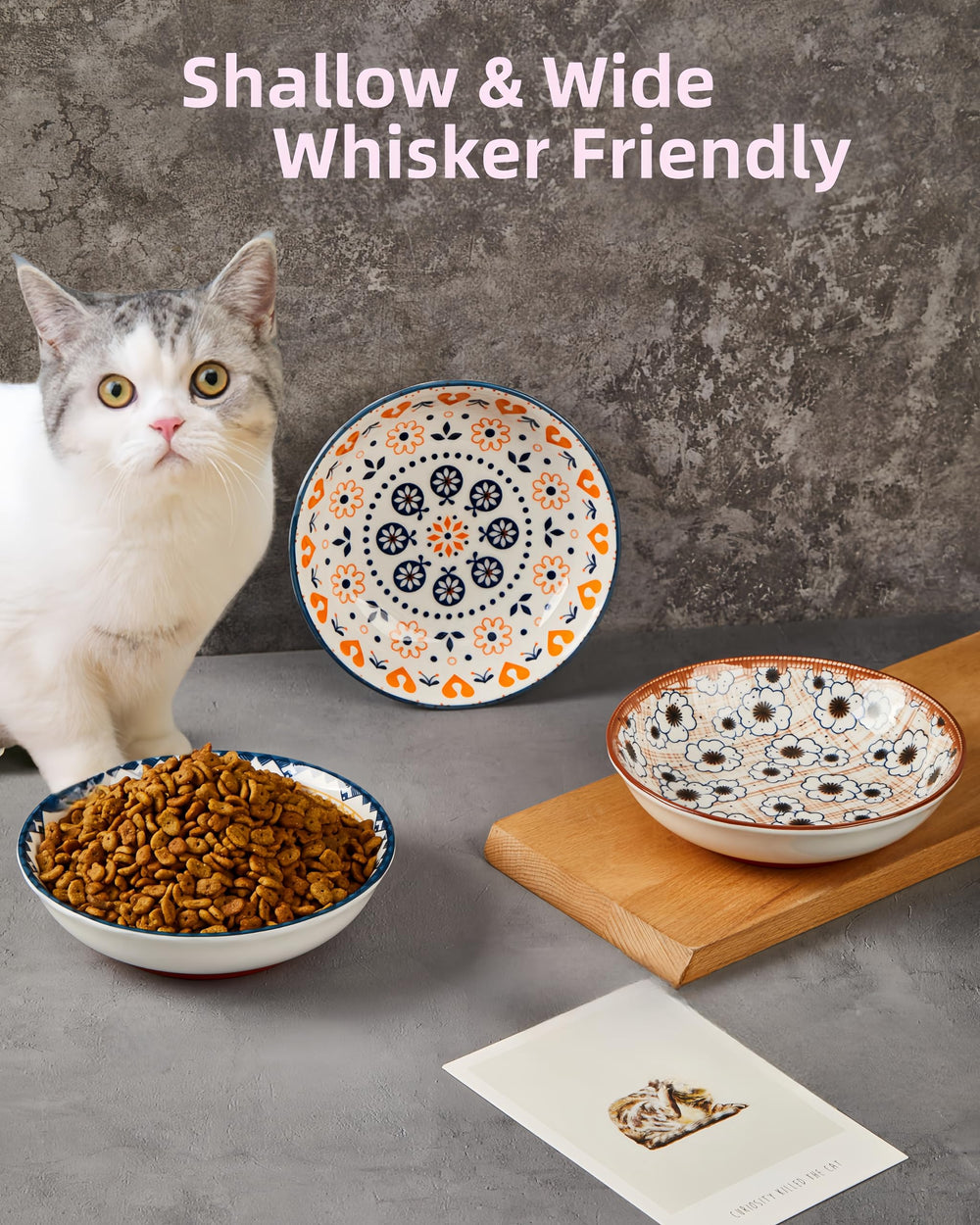 ZYUTONG 3-pack colorful bowls brighten feeding area and match home decor.