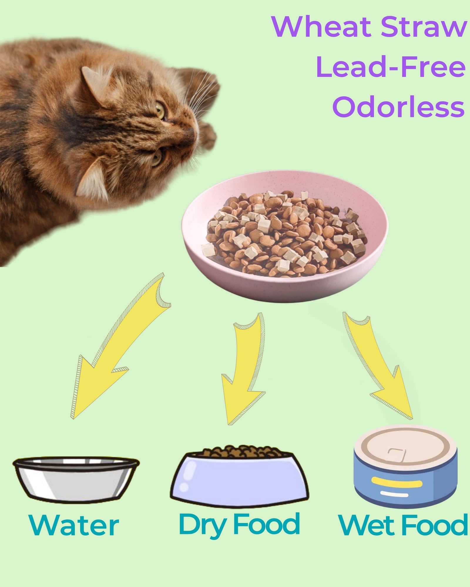 ZYUTONG dishwasher-safe cat bowls simplify cleaning after meals.