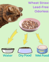 ZYUTONG dishwasher-safe cat bowls simplify cleaning after meals.