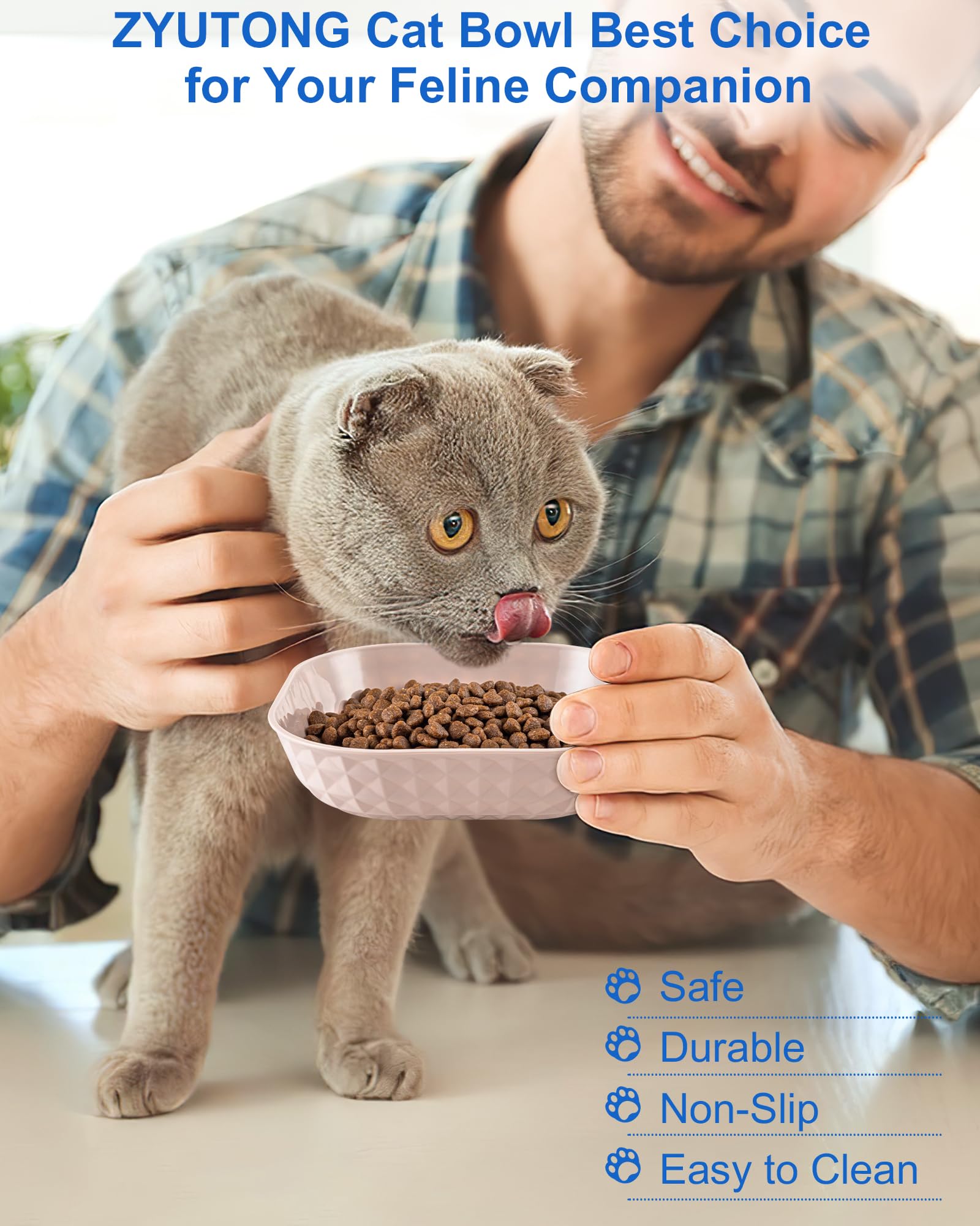 ZYUTONG colorful kitten bowls enhance mealtime presentation and feeding routine.