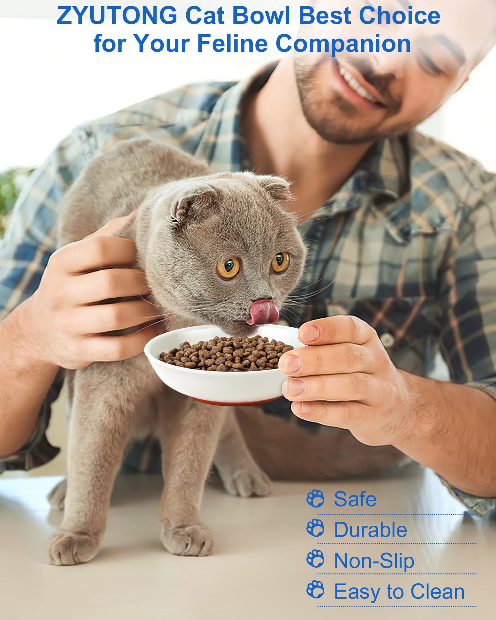 ZYUTONG easy-clean-cat-plates smooth ceramic surface resists stains and odors