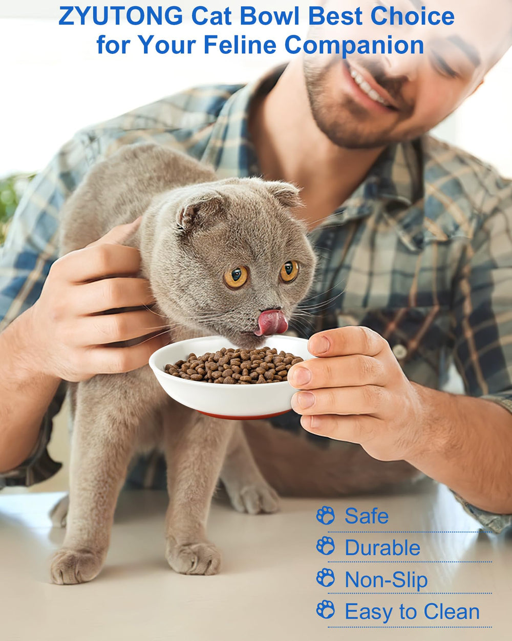 ZYUTONG indoor-cat dining setup supports organized feeding areas.