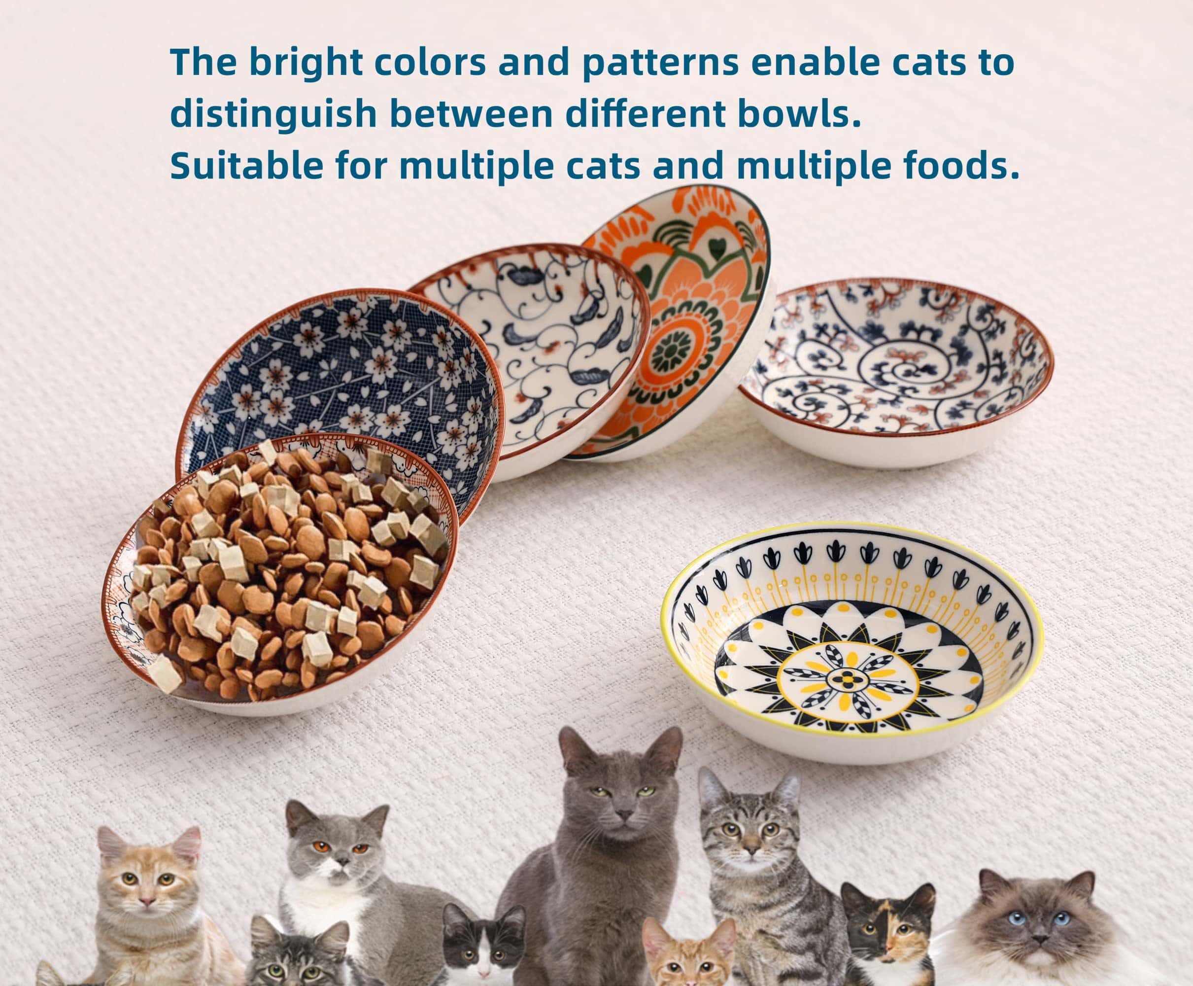 ZYUTONG bowl with non-slip pad stays steady during feeding time