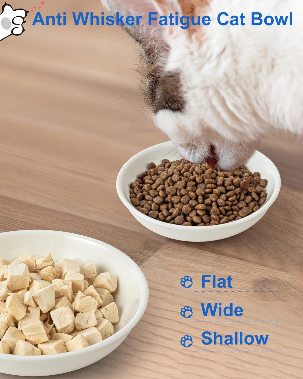 ZYUTONG three-pack cat bowls provide value for multiple meals.