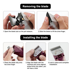zzzyzfus two-pack packaging view highlighting value and versatility.